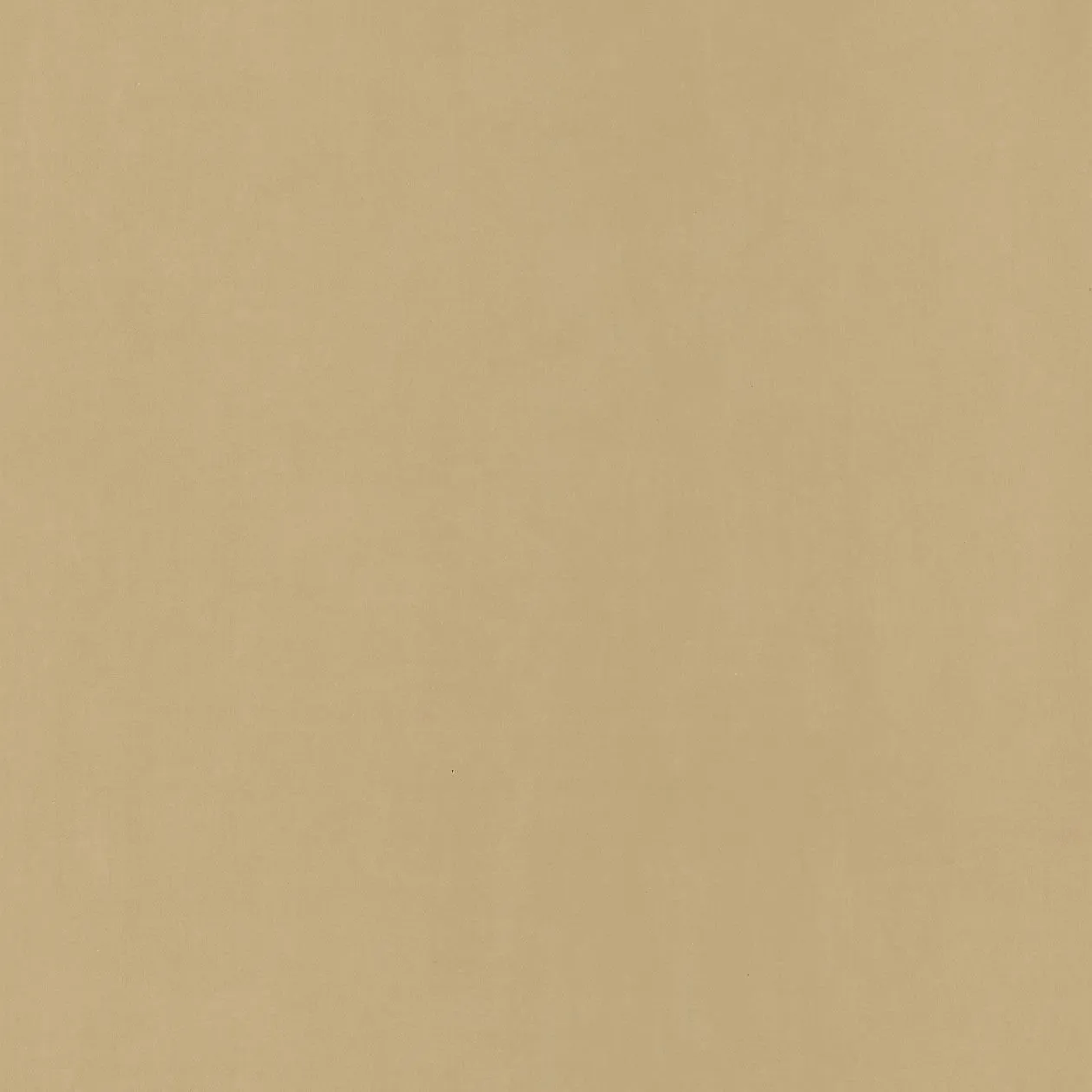 Обои для стен Caselio Pretty Lili PRLI55421412