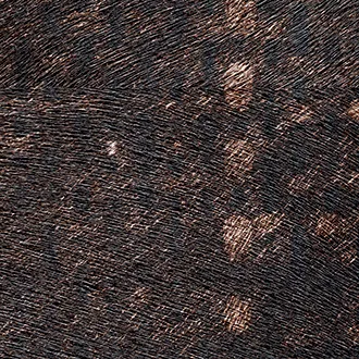 Обои для стен Elitis Indomptee VP-615-01