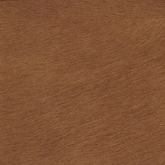 Обои для стен Elitis Indomptee VP-625-10