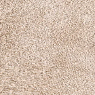 Обои для стен Elitis Indomptee VP-625-40