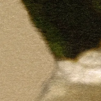 Ткань Elitis Artemis LI-413-05