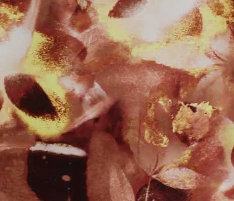 Ткань Alessandro Bini Campus collection G066-S8903