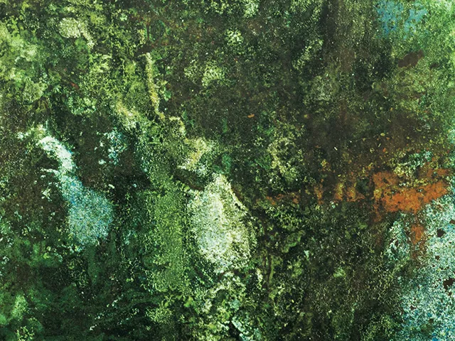 Обои для стен Jean Paul Gaultier Les Papiers 3305_01