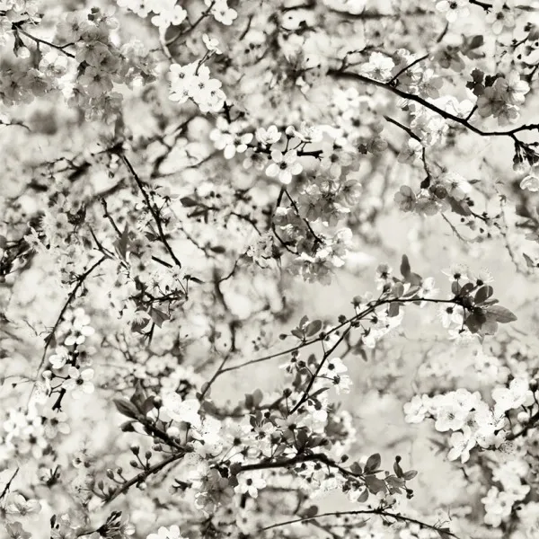 Обои для стен Jean Paul Gaultier Voyages Voyages Papiers 3321_01