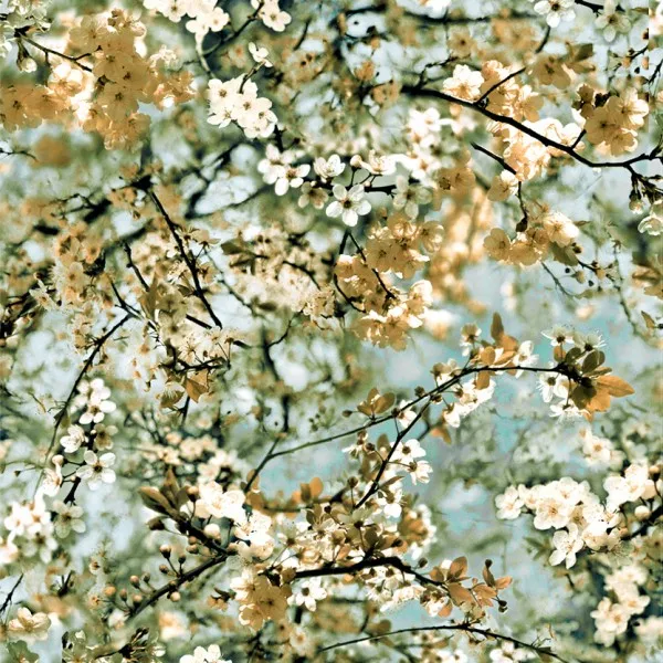 Обои для стен Jean Paul Gaultier Voyages Voyages Papiers 3321_02