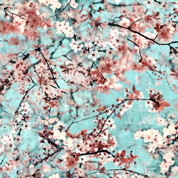 Обои для стен Jean Paul Gaultier Voyages Voyages Papiers 3321_03