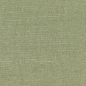 Ткань Ian Mankin Mono Prints fa160-059