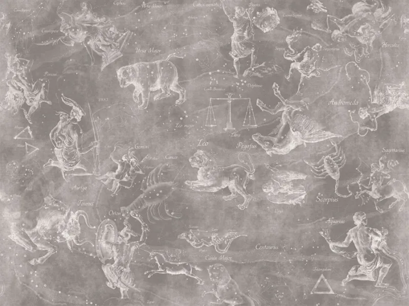 Обои для стен Affresco Панно Цветариум Uranographia Color 4