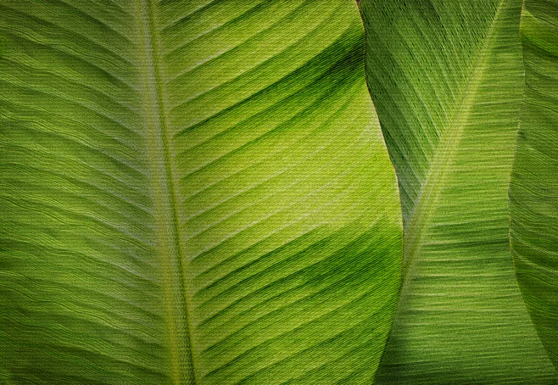 Обои для стен Affresco Современный стиль Aff136392