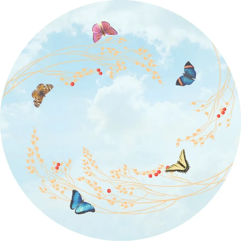 Обои для стен Affresco Сюжеты для потолков Aff9050