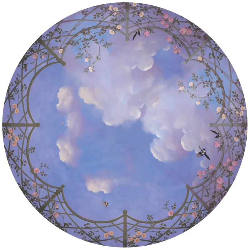 Обои для стен Affresco Сюжеты для потолков Aff9118