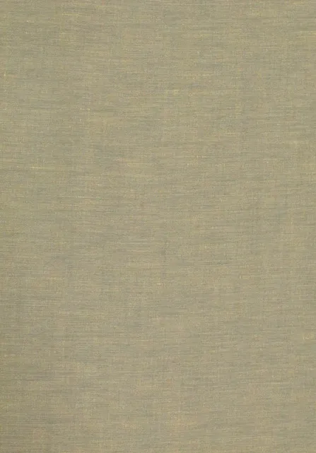 Ткань Lewis & Wood Plains & Weaves LW_Linen Taffeta