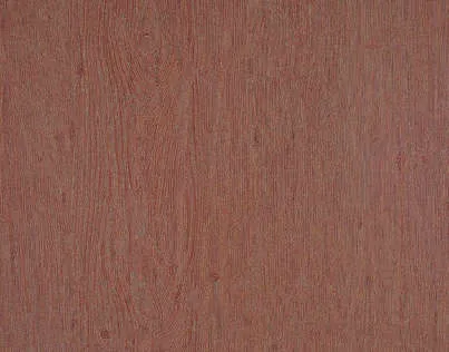 Обои для стен Pierre Frey Double-Jeux FP529009