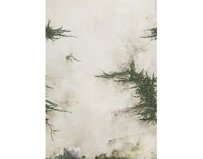 Обои для стен Pierre Frey Galerie FP526001