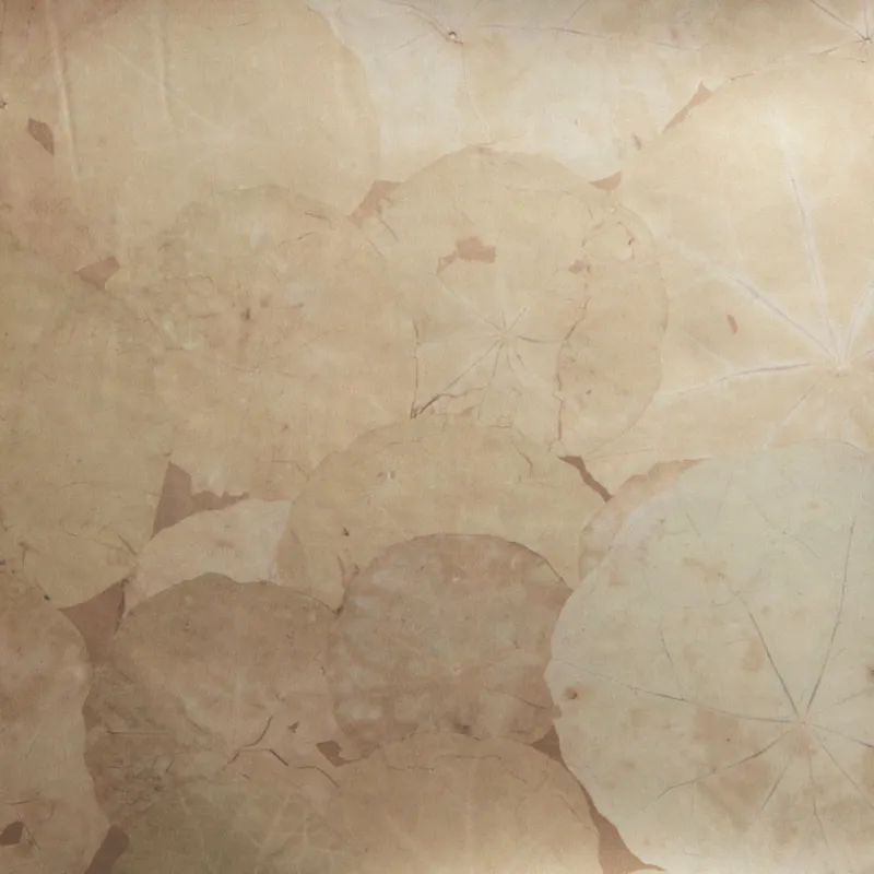 Обои для стен Nobilis Stenope STN61