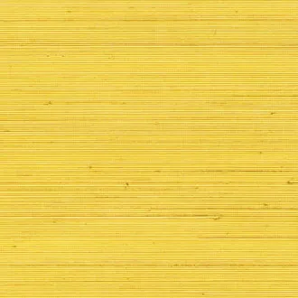 Обои для стен Elitis Coiba RM-110-21