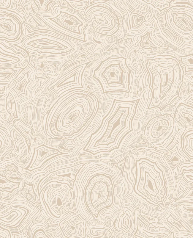 Обои для стен Cole & Son Fornasetti 114-6011