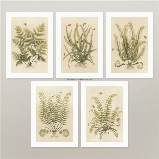 Обои для стен MuralSources Print Shop collection PS-194-2T