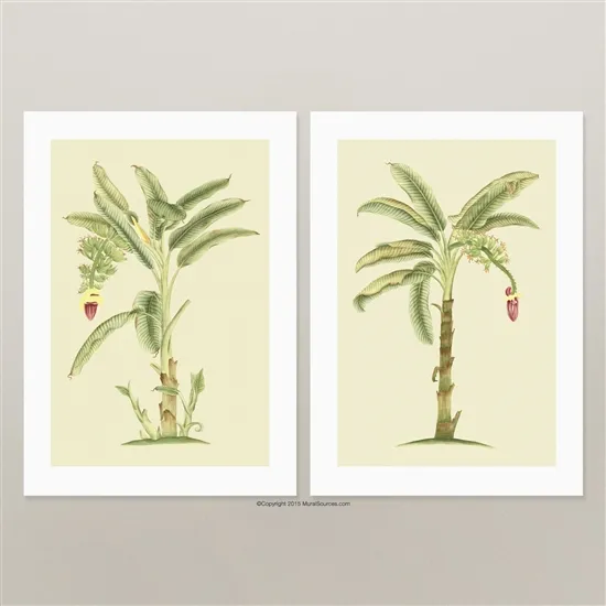 Обои для стен MuralSources Print Shop collection PS-BAN-2T