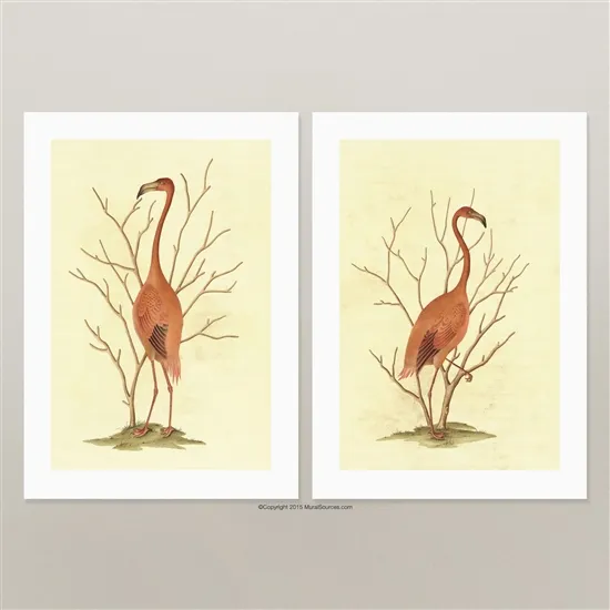 Обои для стен MuralSources Print Shop collection PS-FMG-2T