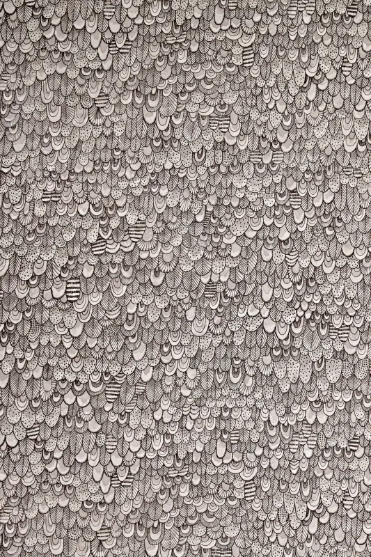 Обои для стен Abigail Edwards Abigail’s first wallpaper collection Bird Wallpaper Shadow