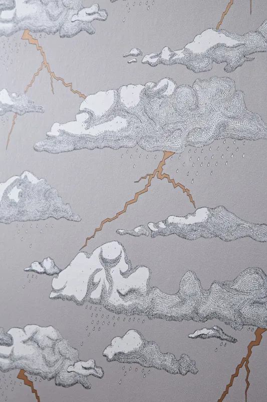 Обои для стен Abigail Edwards Abigail’s first wallpaper collection Storm Clouds Wallpaper Grey Sky