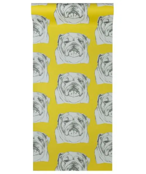 Обои для стен Graduate Collection Graduate Wallpapers Bulldog_Yellow_500