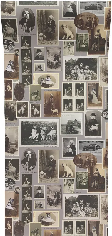 Обои для стен Graduate Collection Graduate Wallpapers charlotte_cory_jolly_boy_wallpaper