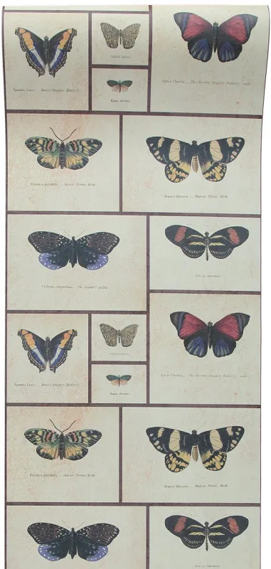 Обои для стен Graduate Collection Graduate Wallpapers miki_rose_butterfly_print_wallpaper