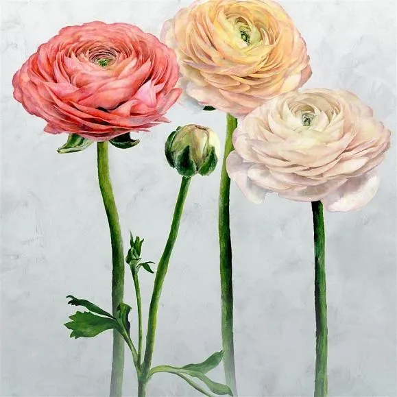 Обои для стен Designers Guild Foscari Fresco PDG1100-01