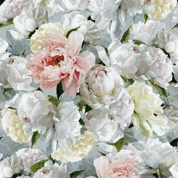 Обои для стен Designers Guild Foscari Fresco PDG1102-01