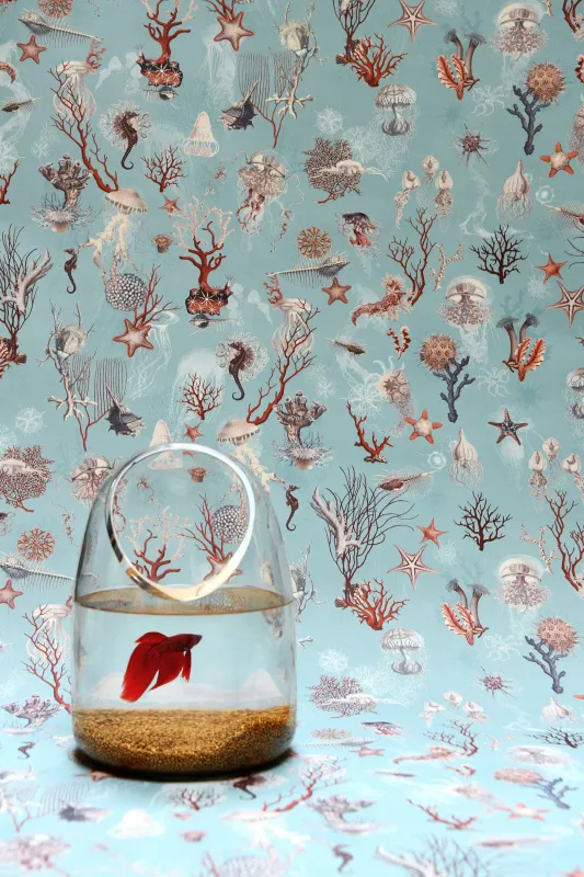 Обои для стен Jean Paul Gaultier Un Monde Parfait 3324-02