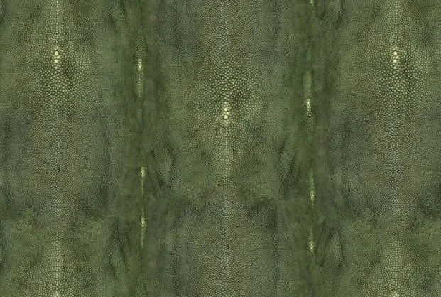 Обои для стен Jean Paul Gaultier Un Monde Parfait 3326-04