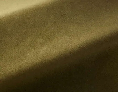 Ткань Pierre Frey Baltazar F3370007