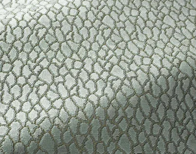 Ткань Braquenie Alizon B7639002