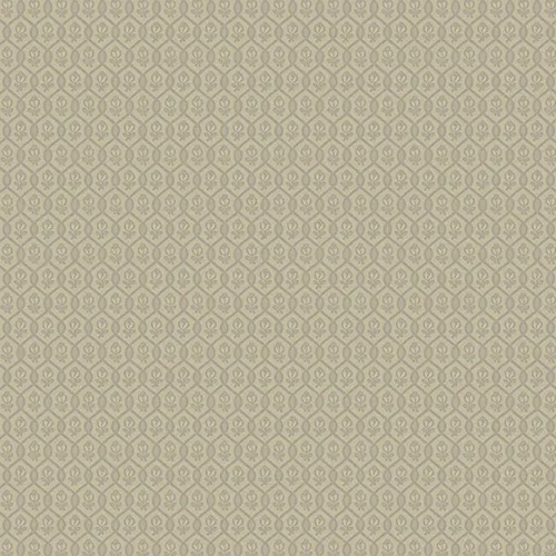 Обои для стен Loymina Amber Salon as3005