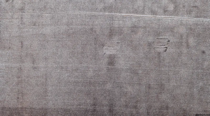 Обои для стен La Scala Milano Opera V diapason_3704