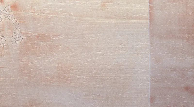 Обои для стен La Scala Milano Opera V opale_3405