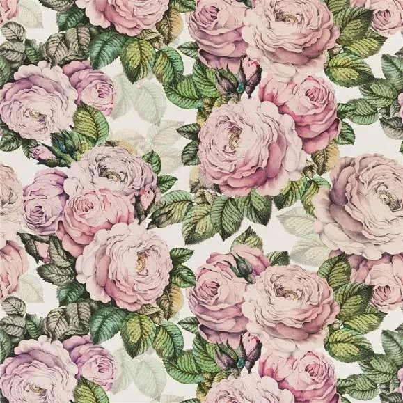 Ткань Designers Guild John Derian Picture Book I FJD6006-02