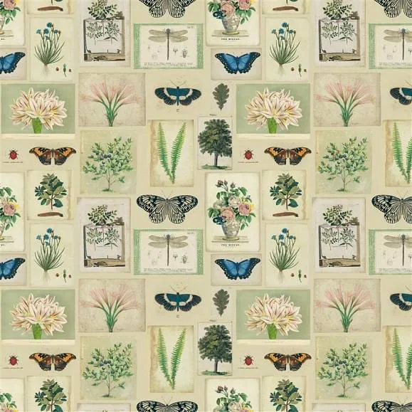 Ткань Designers Guild John Derian Picture Book I FJD6007-01