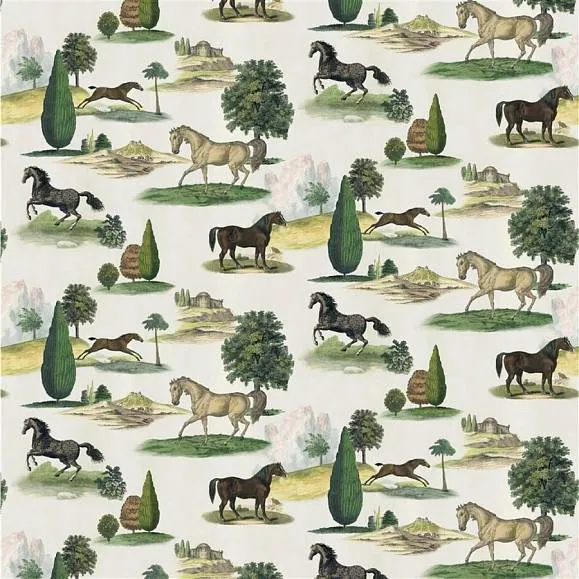 Ткань Designers Guild John Derian Picture Book II FJD6013-01
