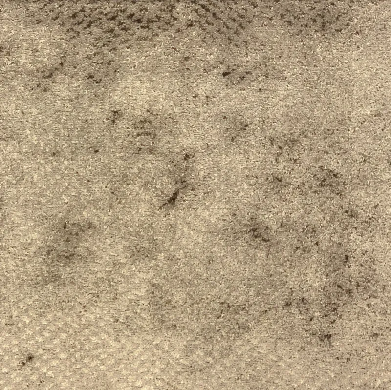 Ткань Galleria Arben Bernini FUGA 01