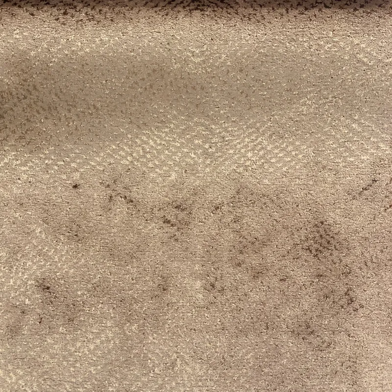 Ткань Galleria Arben Bernini FUGA 02