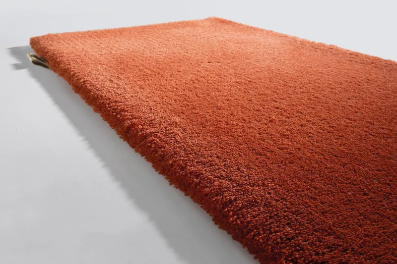 Queensilk_QS34529_Langoustine