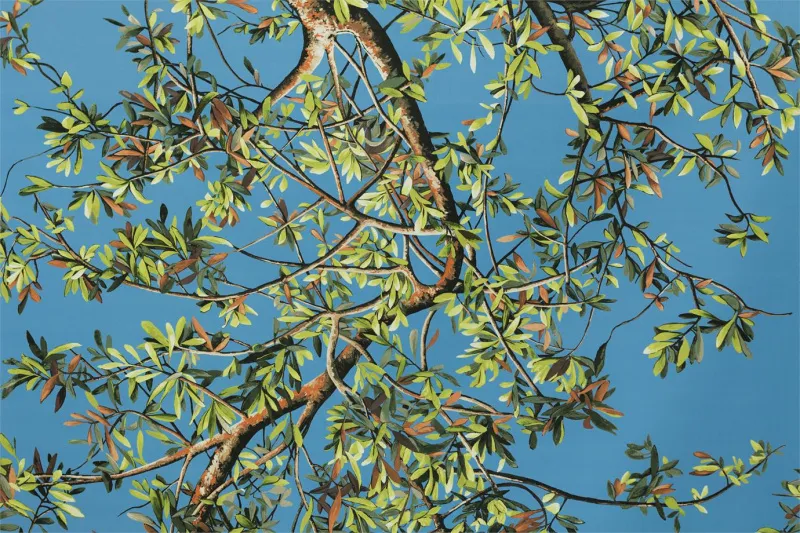 Ткань Brochier Incontro ak1052-003-z