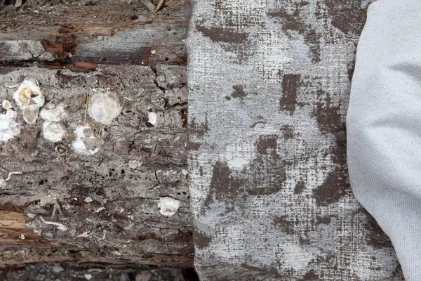 Ткань Brochier Tradizione tradizione-01-6