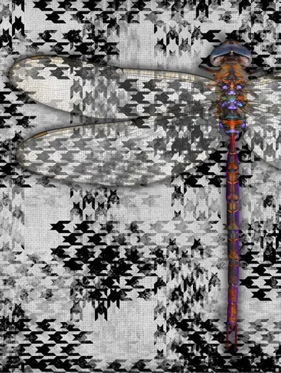 Обои для стен Momenti Crazy Artists MAR-04