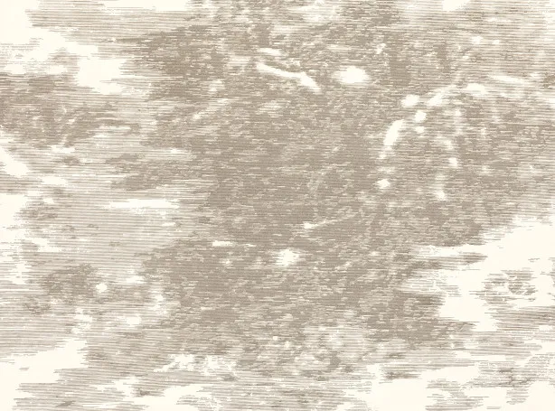 Обои для стен Black Edition Mizumi Wallcoverings W919-04