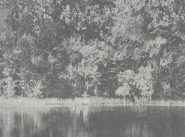 Обои для стен Black Edition Mizumi Wallcoverings W924-01