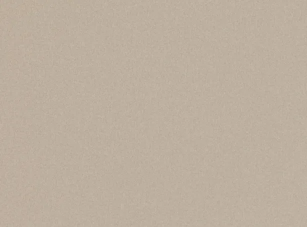 Ткань Zinc Spinner Z581-01